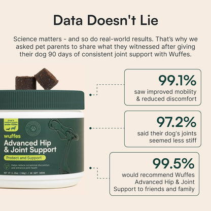 Dog Hip & Joint Mobility Chews