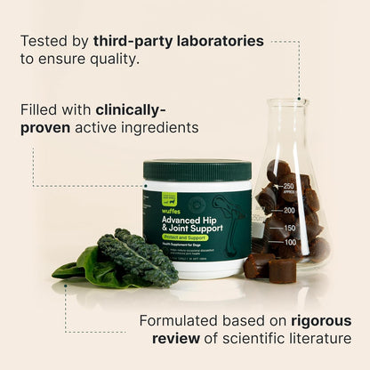 Dog Hip & Joint Mobility Chews