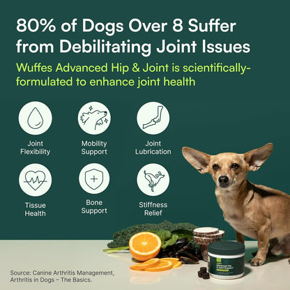 Dog Hip & Joint Mobility Chews